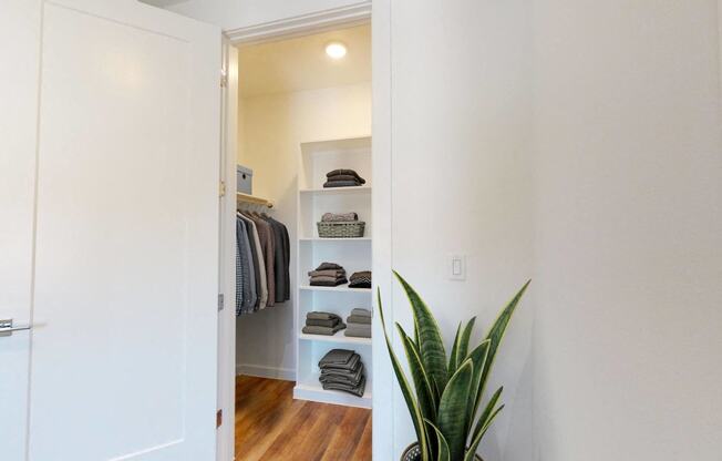 a walk in closet with a plant and a white door