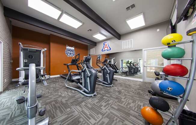 a gym with cardio machines and weights at the monarch apartments in midtown