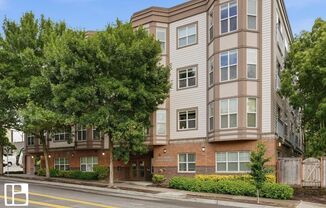 Studio, 1 bath, 515 sqft, $1,175, Unit 303