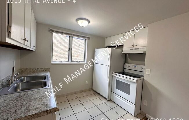 1015 Third Avenue, Apt. 2