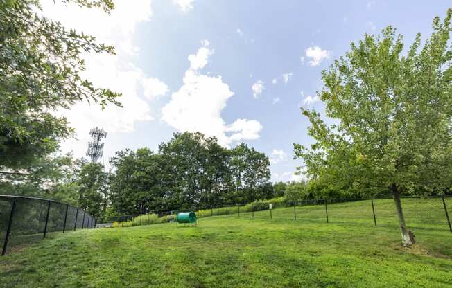 Large, fenced dog park with lush green grass, trees and obstacles for dogs at Summit Place apartments in Methuen, MA.