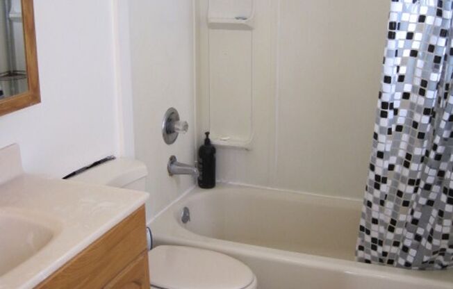 1 bed, 3 baths, 204 sqft, $825, Unit 3-C