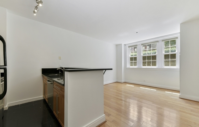 1 bed, 1 bath, 494 sqft, $2,700, Unit 103