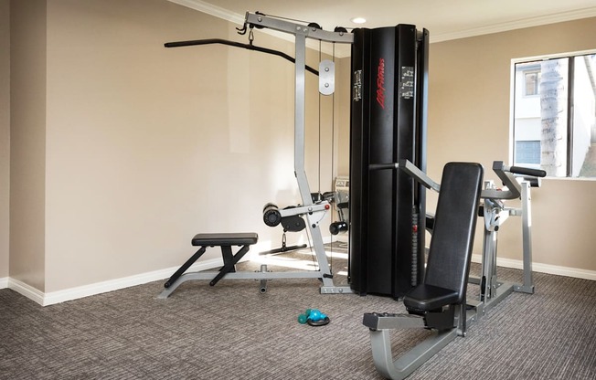 a home gym with a treadmill and weights