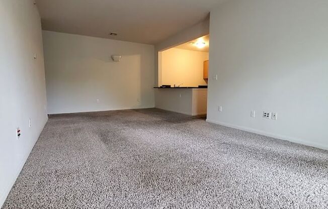 2 beds, 2 baths, $950