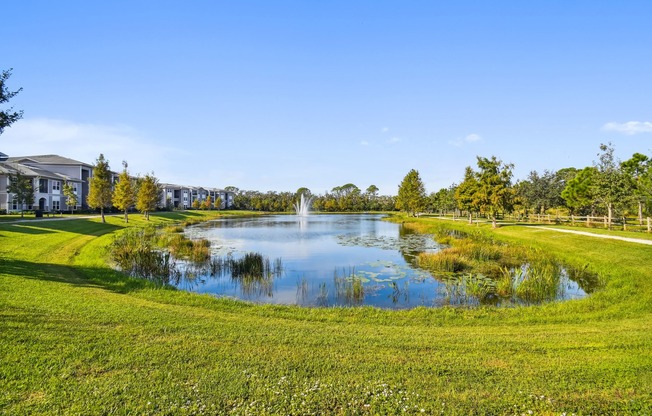 Pond on a sunny day