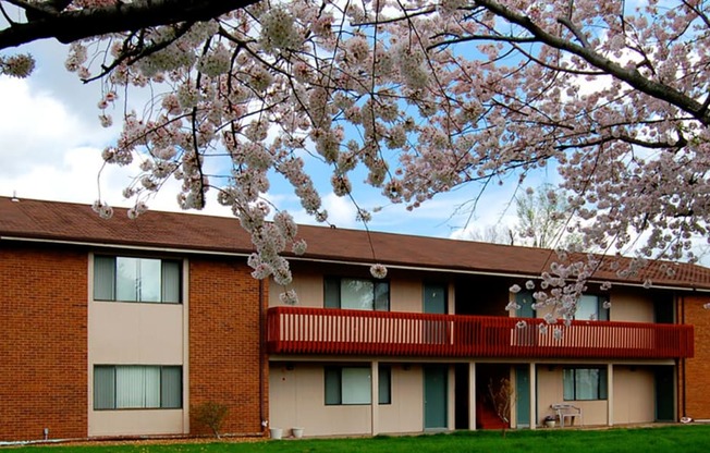our apartment building in the spring with cherry blossoms