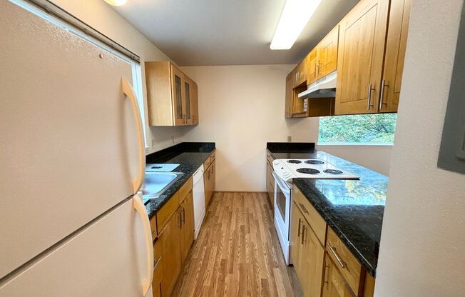2 Bedroom Condo, with Off Street Parking and Short Walk to OSHU! W/S/G Paid!
