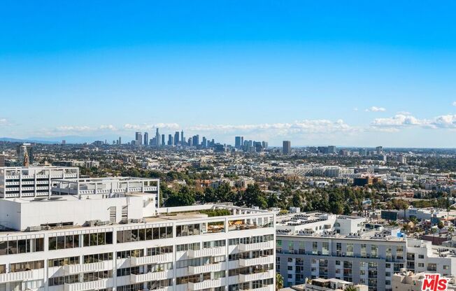 Studio, 1 bath, 536 sqft, $2,850, Unit 511