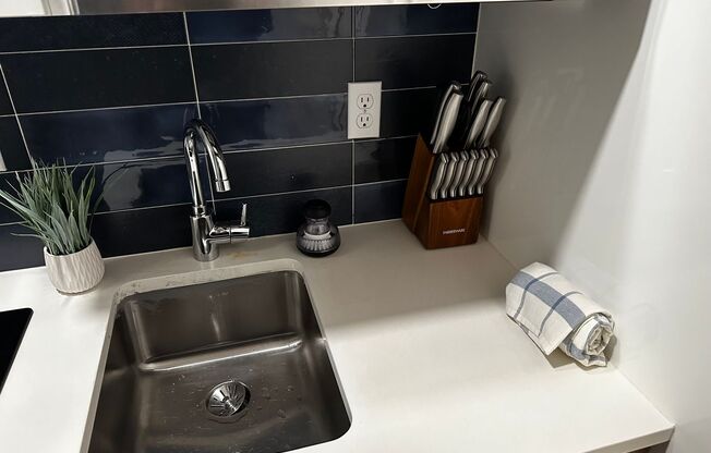 Studio, 1 bath, 244 sqft, $1,495, Unit 113 - Furnished