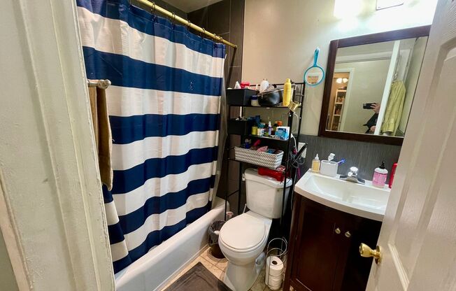 1 bed, 1 bath, $925, Unit 206