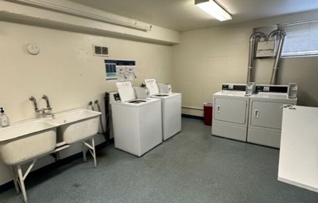 Studio, 1 bath, 368 sqft, $1,179, Unit 103A