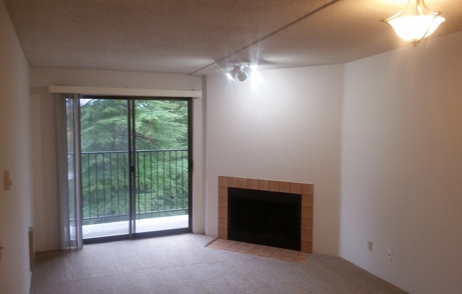 Mountain View Apartment