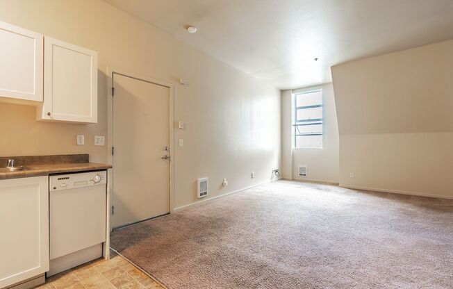 Studio, 1 bath, 438 sqft, $1,100, Unit 1005