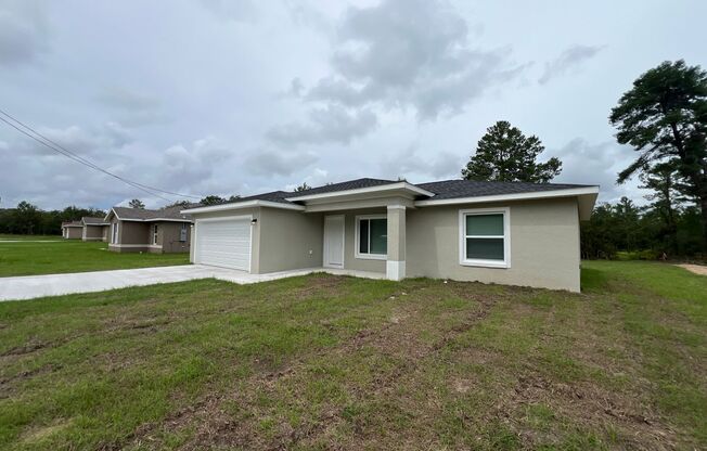 Stunning BRAND NEW UPGRADED 3 Bedroom / 2 Bath Home in Ocklawaha!