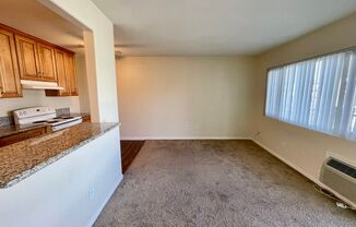 Studio, 1 bath, 375 sqft, $1,595, Unit 228