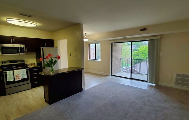 2 beds, 2 baths, 1,000 sqft, $2,100, Unit 14207 #203