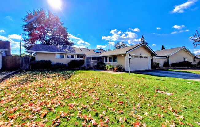 Beautiful 3bd Single Story House w/Large Yards & Attached Garage