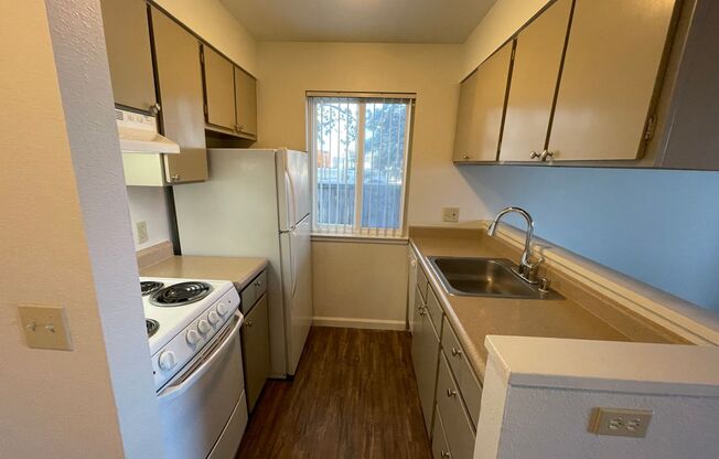 1 bed, 1 bath, 510 sqft, $1,045