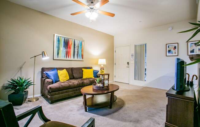 One, Two, and Three Bedroom Apartments near Tucson Medical Center with Spacious Living Room