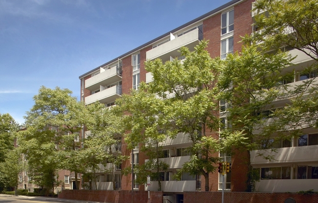 1 bed, 1 bath, 495 sqft, $3,200, Unit 705