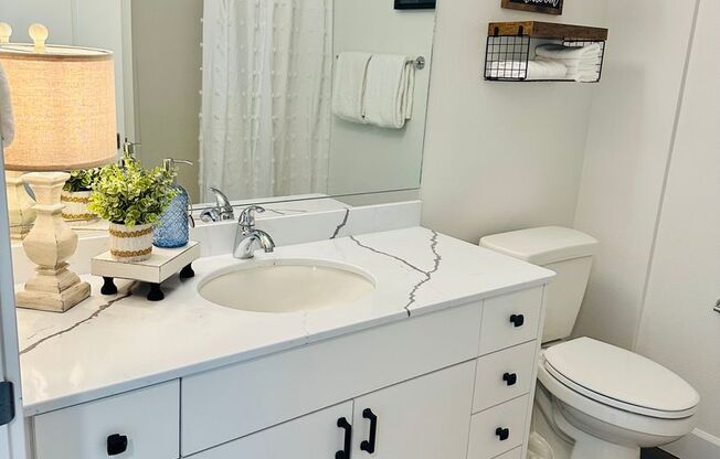 1 bed, 1 bath, 453 sqft, $2,750, Unit 410-413