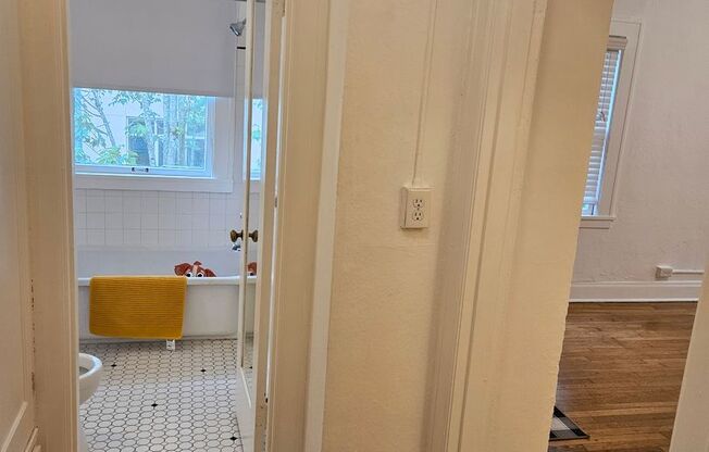 Studio, 1 bath, 337 sqft, $1,249, Unit 25