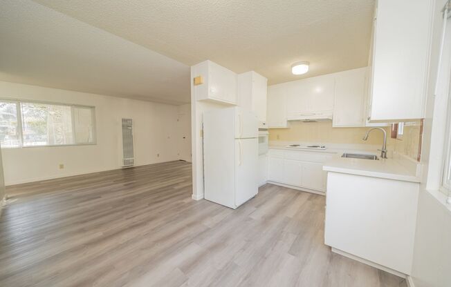 3667 Dimond - Adalie