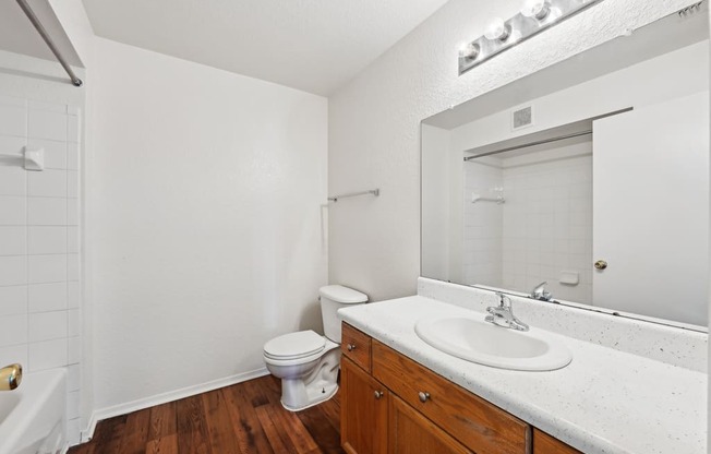 a bathroom with a sink and a toilet and a mirror