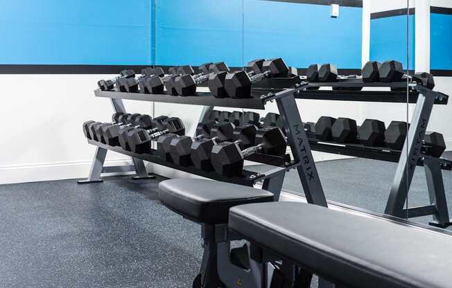 A gym with a bench, weights, and mirrors.