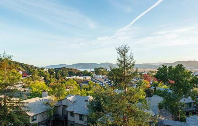 view from apartment from patio