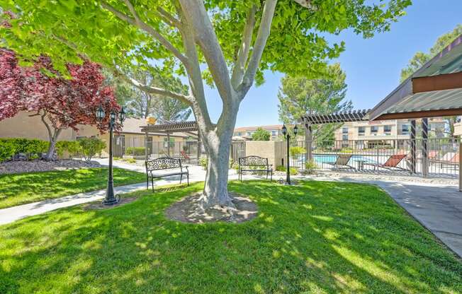 a park with a tree and benches in front of a building