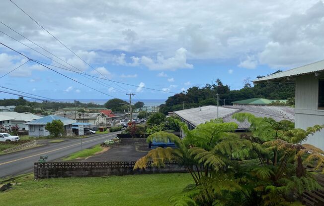 Hilo -Close to Downtown