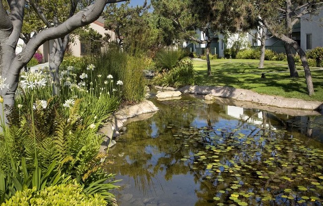 Lush Green Outdoors, at Pacific Oaks Apartments, Towbes, Goleta