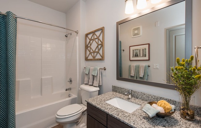 a bathroom with a large mirror and a toilet next to a bathtub at The Whitworth, Williamsburg, Virginia