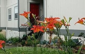 16th Ave S 1171 - Apartment K