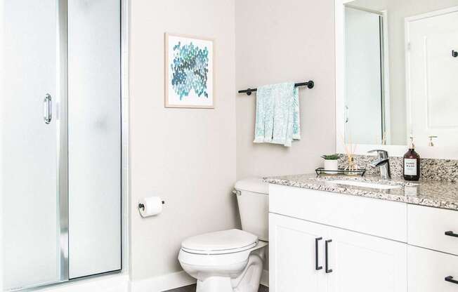 Inviting bathroom with elegant granite countertops, resilient stain-resistant plank flooring, and a modern shower.