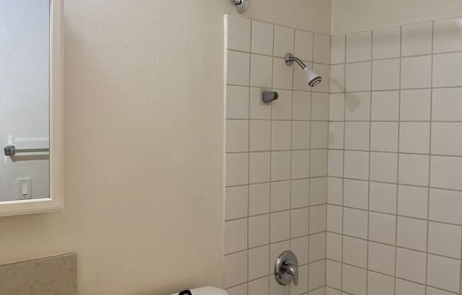1 bed, 1 bath, 600 sqft, $1,800, Unit 304