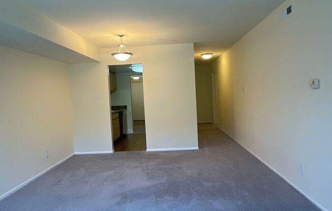 1 bed, 1 bath, 745 sqft, $1,750, Unit 14204 #A1