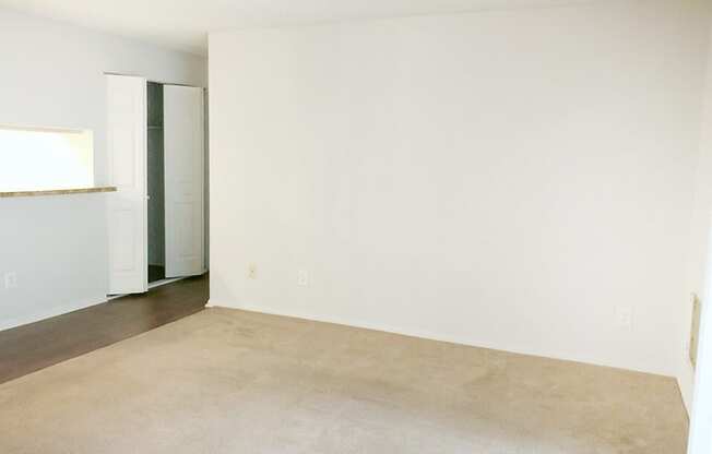 Spacious Floor Plan in 2-bedroom Large