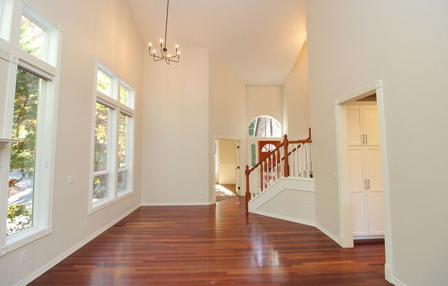Delightful Forest Hills 4 Bed/3 Bath Contemporary Home Backing to Greenspace!