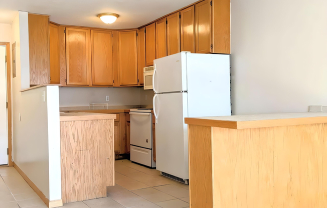 966 Robert St