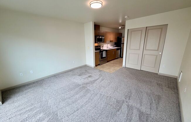Studio, 1 bath, 430 sqft, $1,550, Unit Unit 402