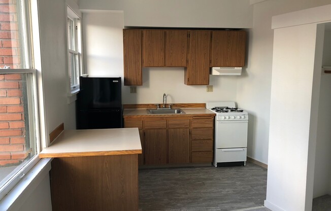Studio, 1 bath, 290 sqft, $1,395, Unit Unit 309