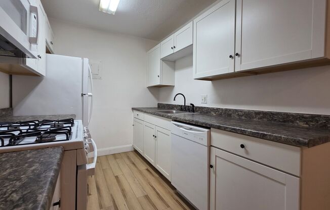 1 bed, 1 bath, $1,100