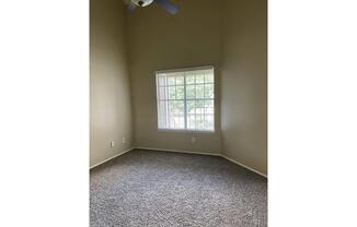 a cat sitting next to a window