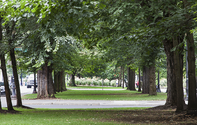 1 bed, 1 bath, 500 sqft, $1,350, Unit 101