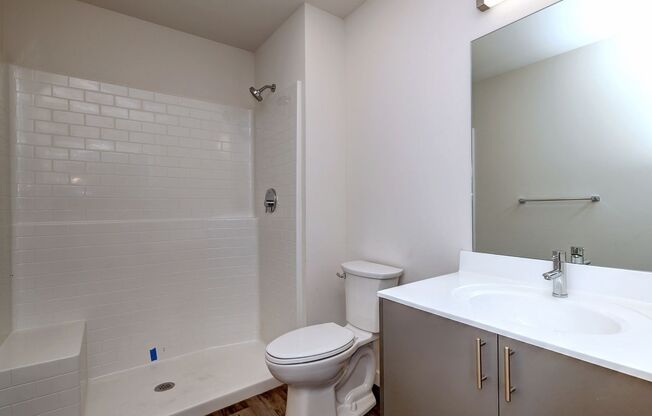 1 bed, 1 bath, 740 sqft, $3,000, Unit Apt 1102