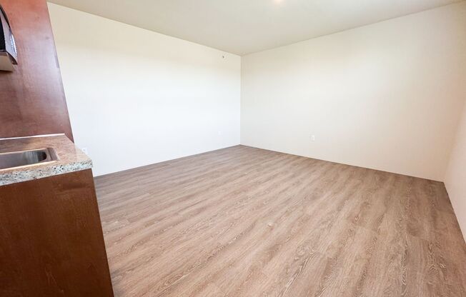 Studio, 1 bath, 160 sqft, $1,395, Unit 557