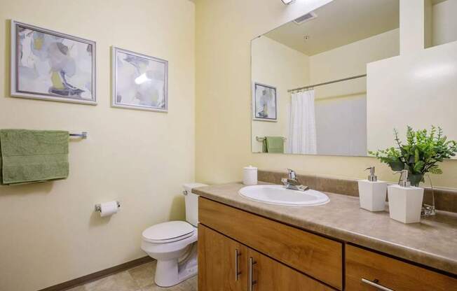 A bathroom with a toilet, sink, and mirror.